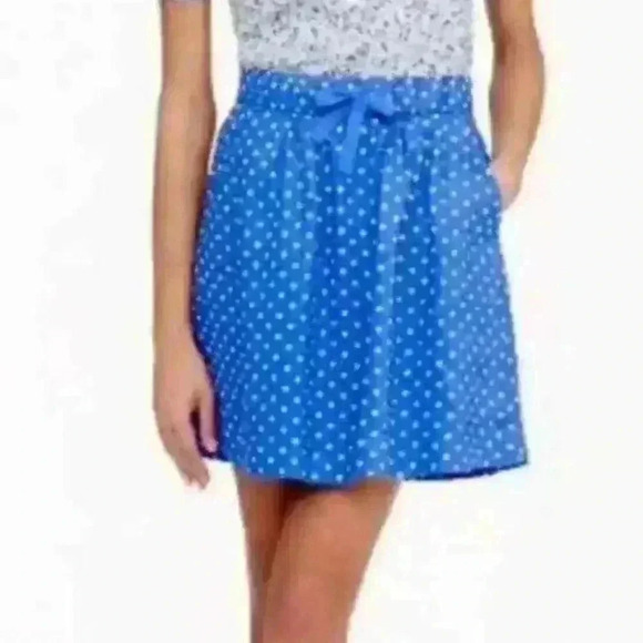 J. Crew Blue & White 100% Linen polka dot high-waisted lined skirt  SIZE 8 - Picture 1 of 12